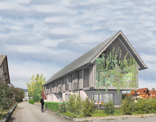 Doppelhaus, Obergösgen, 2020